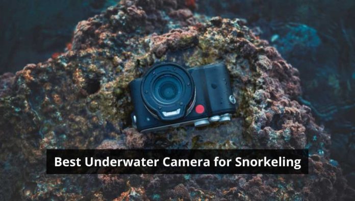 Best Underwater Camera for Snorkeling