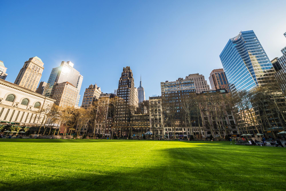 Green Lawn and Skyscrapers Viewed From Bryant Park