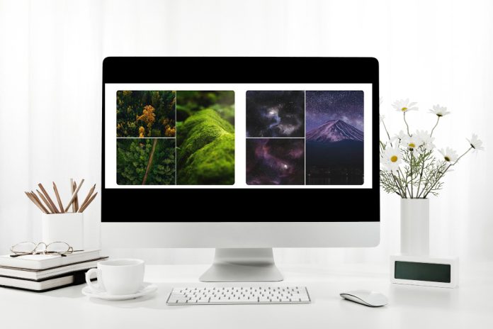 Top 5 WordPress Gallery Plugins: Improve a Visual Pleasing of Your Website