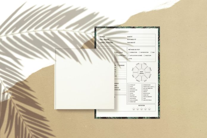 a palm leaf casts a shadow on a sheet of paper plantillas tarjeta presentacion, editor diseño online, interfaz canva